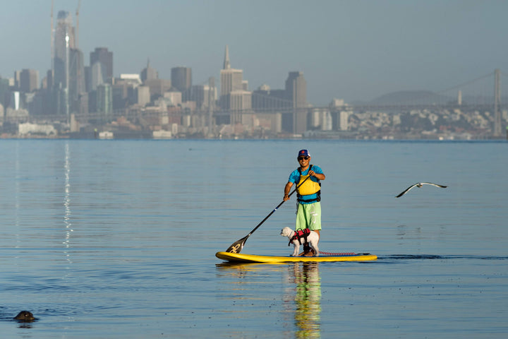 Mike paddling infront of San Francisco with his dog